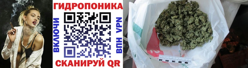 Наркошоп Гдов СК  COCAIN  ГАШИШ  Конопля 